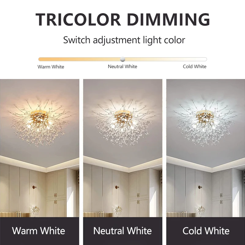 IRALAN Lustre LED Ceiling Lighting Dandelion Chandelier - Image 5